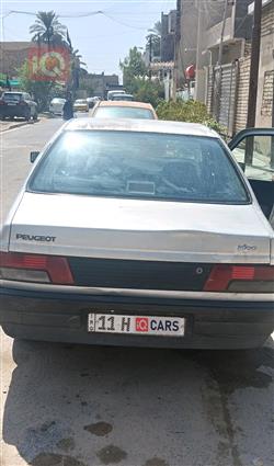 بيجو روا